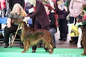 Crufts2011 556